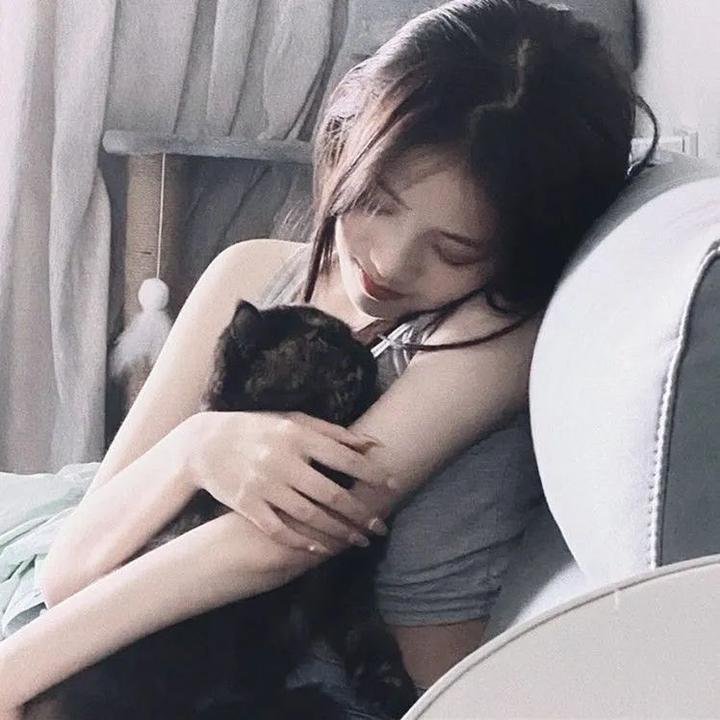 雪地灵犬2